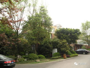 龍湖景觀 綠化施工3要點11關(guān)鍵