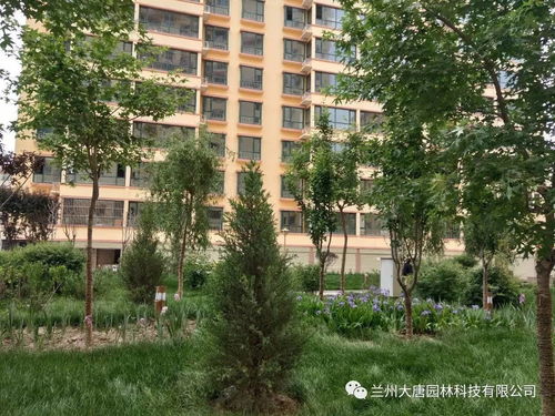 臨洮怡康苑住宅小區園林景觀綠化工程