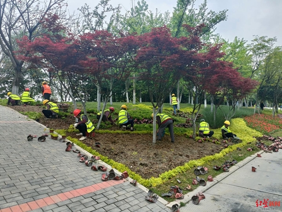 天府黃、錦官橙、太陽神鳥 成都三環路換上了新裝你注意到了嗎