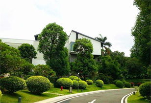 城市園林綠化發展機遇分析 投資前景看好