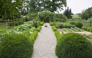 上海綠化園藝工程哪家專業(yè)而且又好