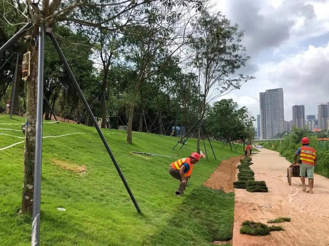 邊坡綠化工程.邊坡綠化工程專(zhuān)業(yè)綠化施工,助力打造綠色家園.精