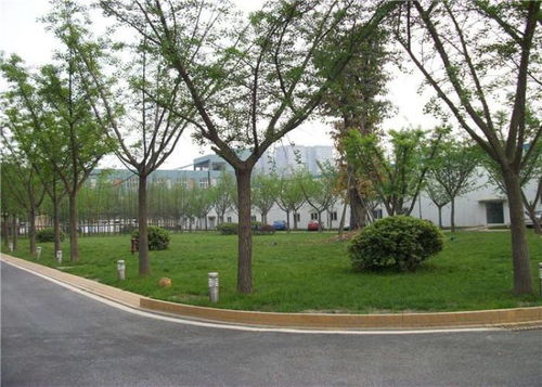 【花都園林綠化工程價格】- 