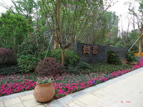 和家園懿園工程