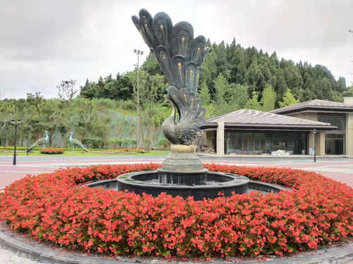 綠雕仿真造型設(shè)計在體育場地設(shè)施工程中的應(yīng)用