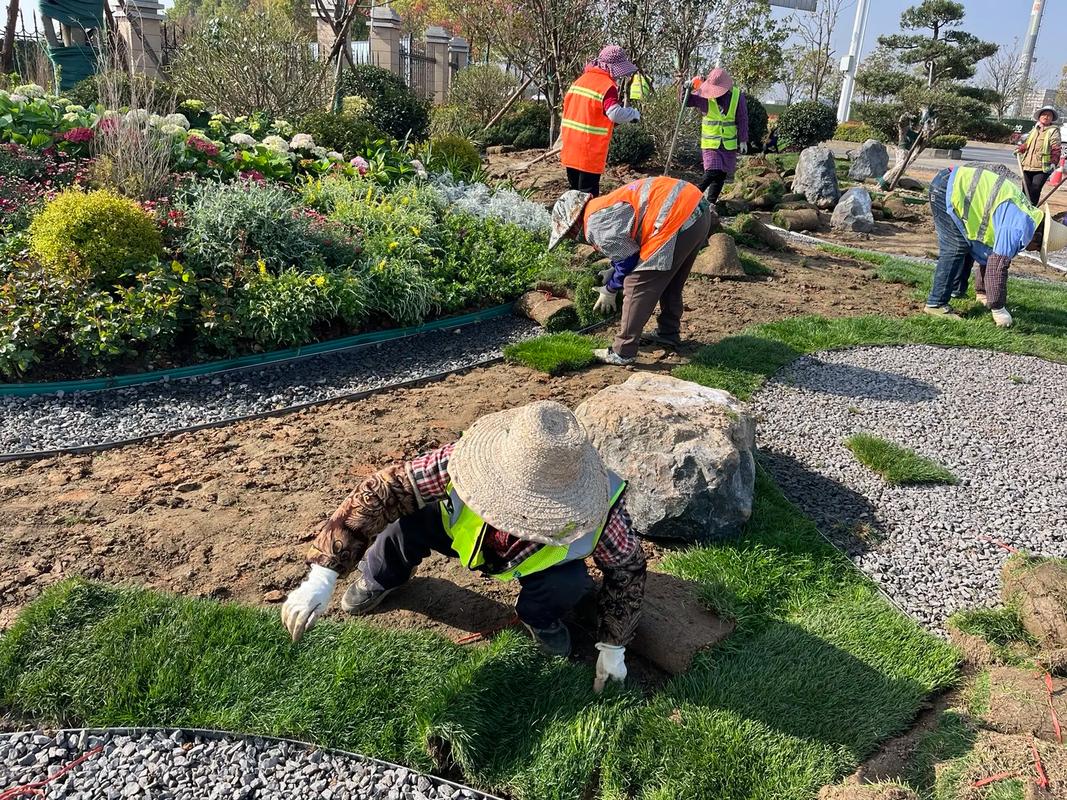 施工現場實拍 感受園林綠化工程的魅力